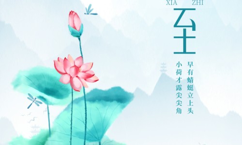 植提这个行业怎么样-植提物价格网-分享植提是什么，植提官网知识库