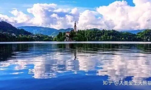 植提官网-植提物价格网-分享植提是什么，植提官网知识库
